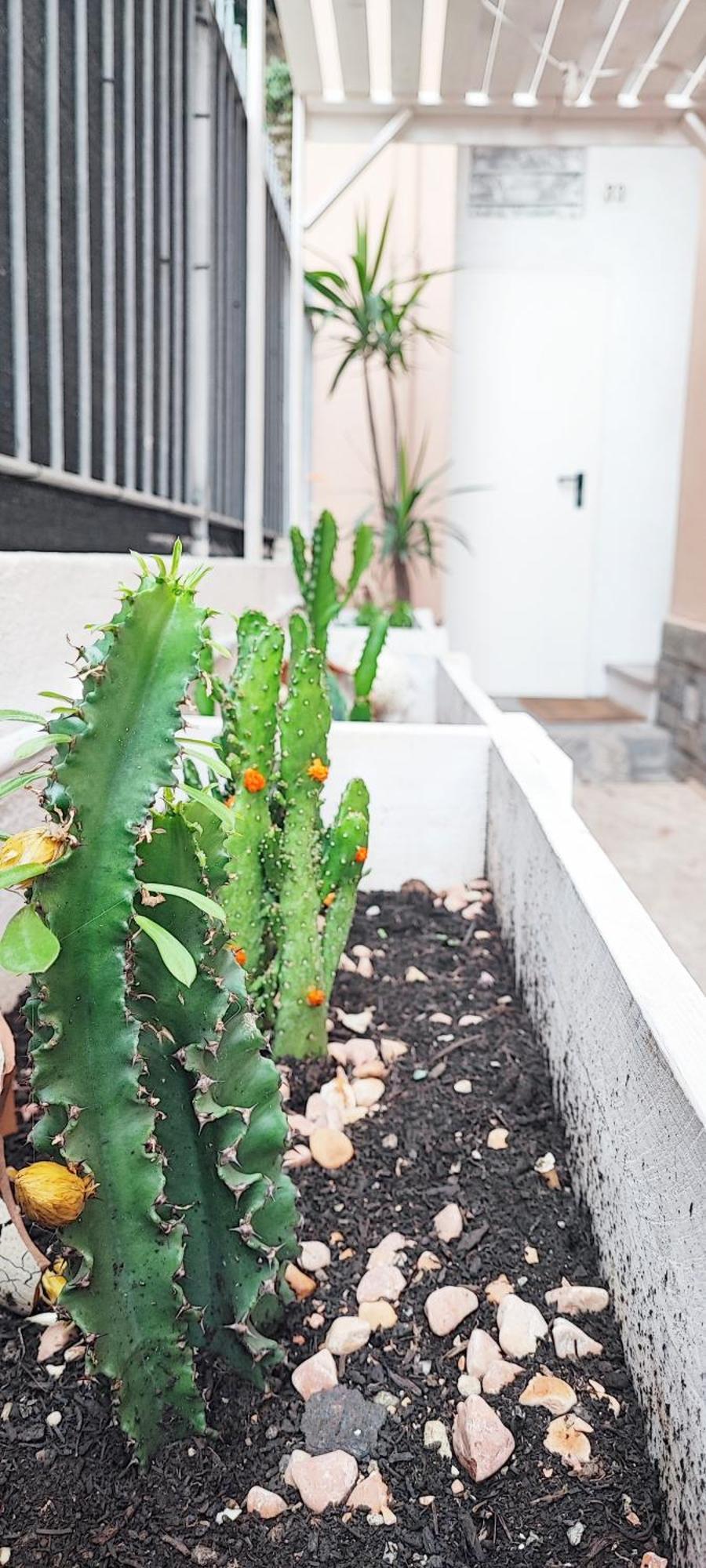 Residenza Bibliososta Apartman Ventimiglia Kültér fotó